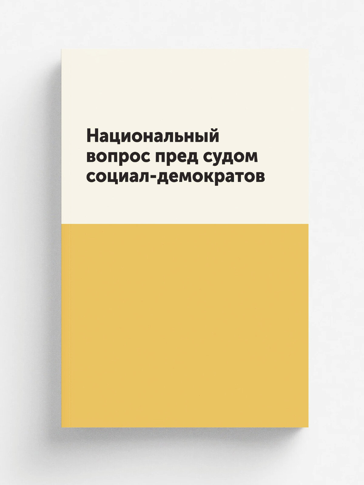 Национальный вопрос пред судом социал-демократов