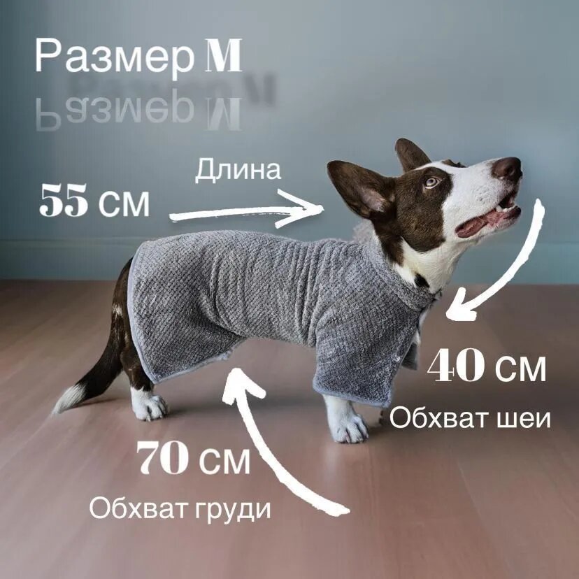 Халат-полотенце для собак из микрофибры M (корги, боксер), серый, защита от холода и быстрая сушка