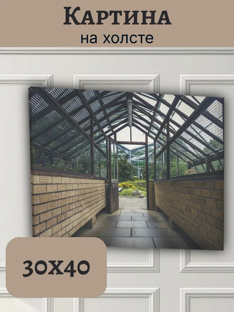 Картина Шотландия Scotland 30x40 интерьерная оранжерея