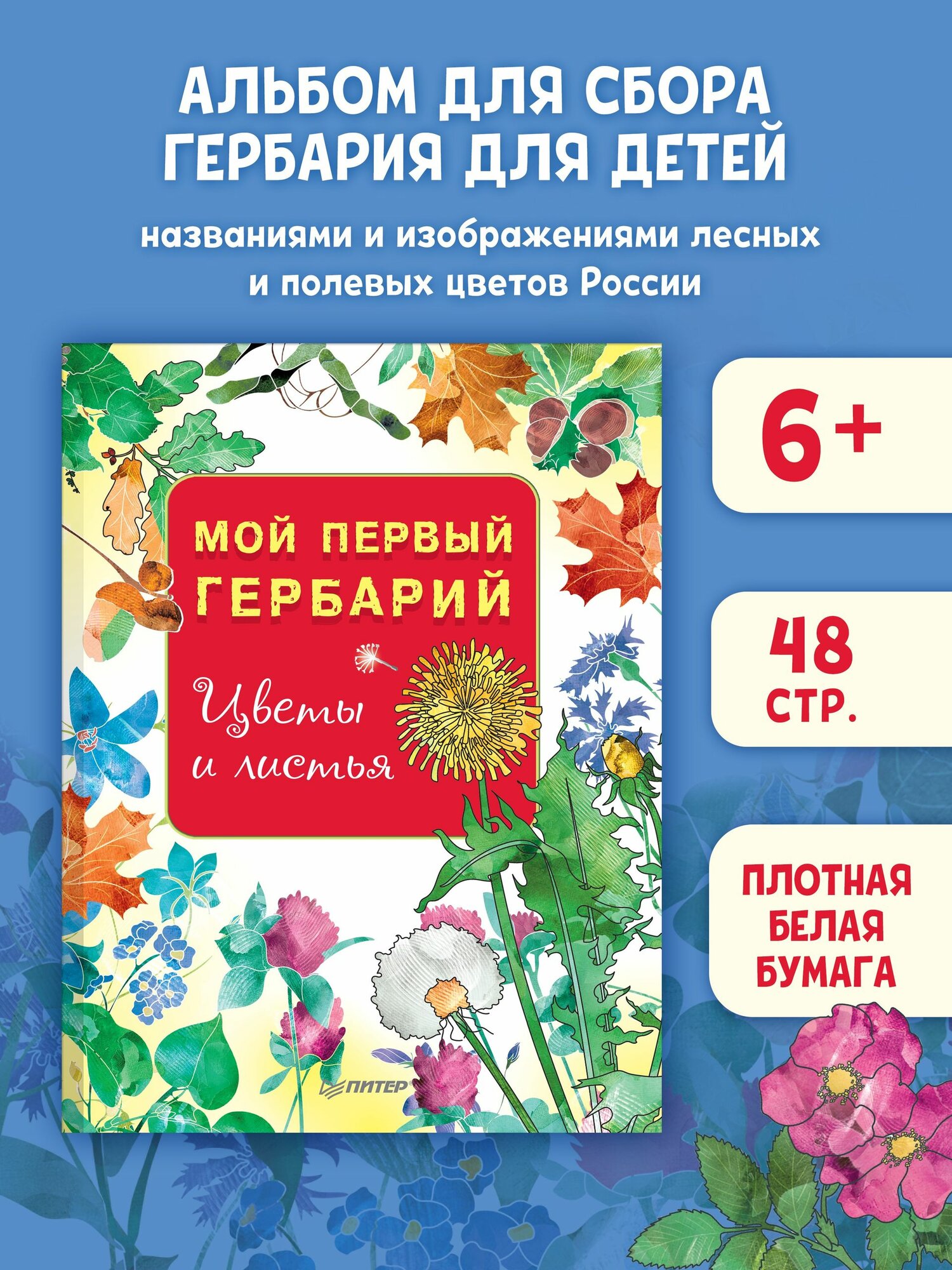 Мой первый гербарий. Цветы и листья