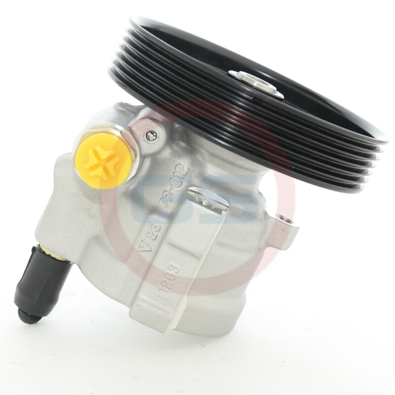 Новый насос ГУР Renault Clio II, Symbol 1998-2008, Renault Kangoo 1997-2008, Ren GS HP32034C
