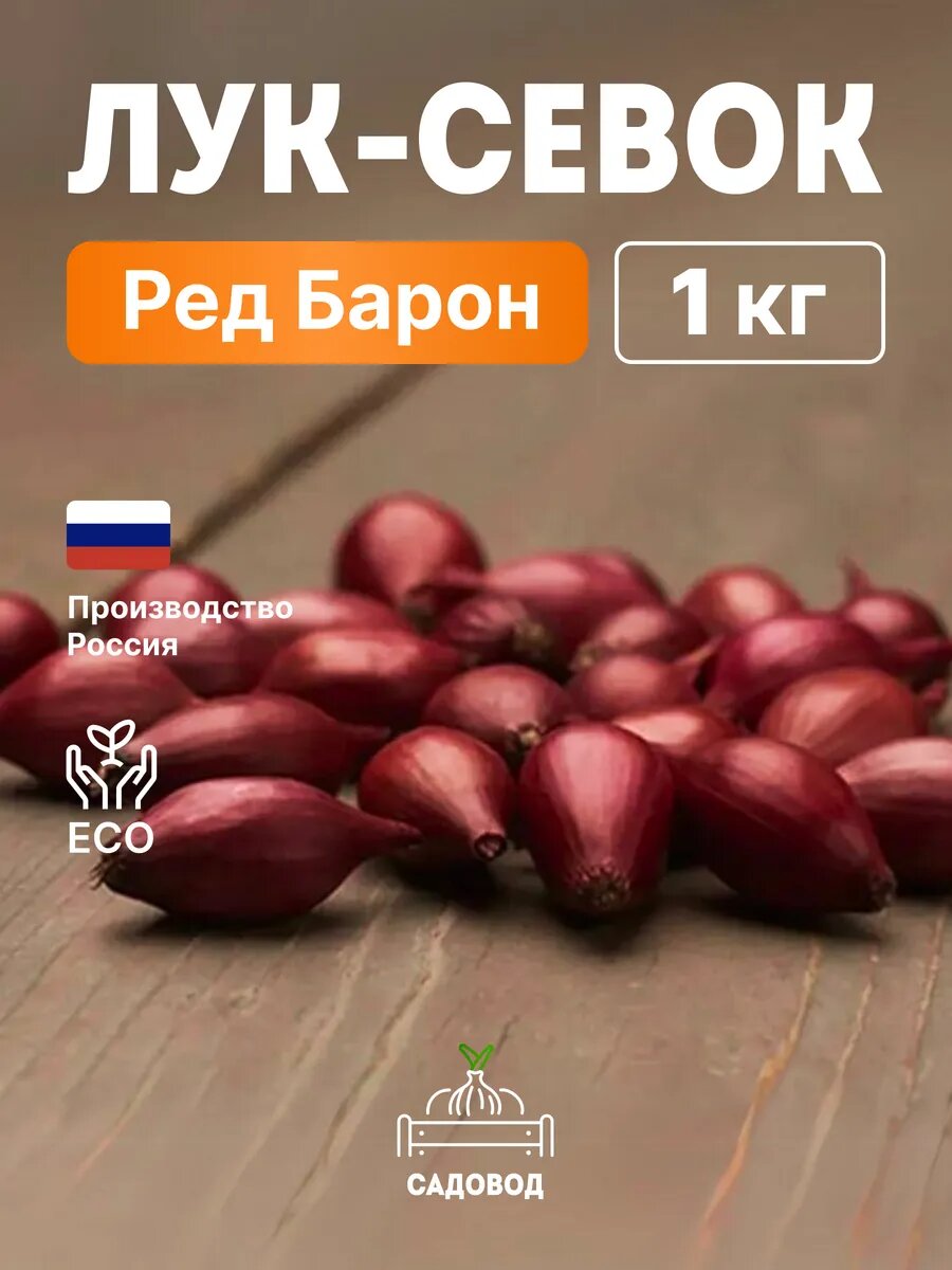 Лук севок Ред Барон 1 кг на посадку осенью