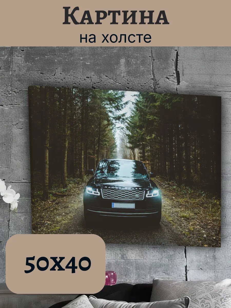Картина Рендж Ровер Range Rover 40x50 в лесу на бездорожье