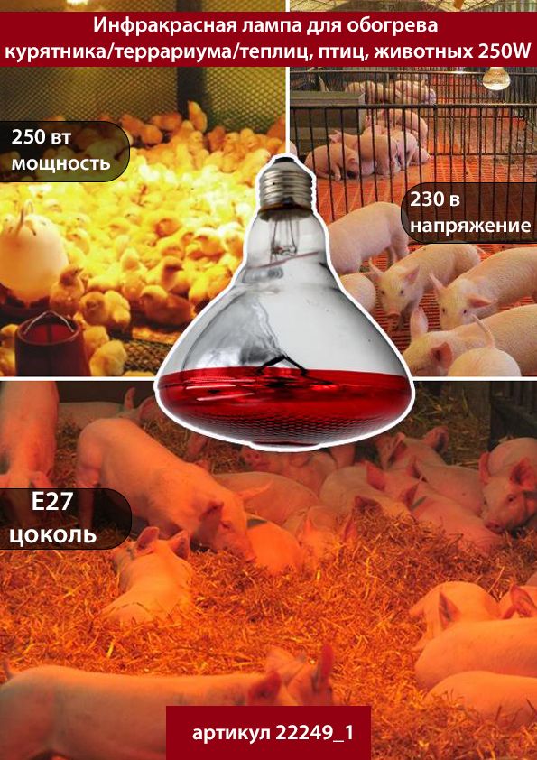 Инфракрасная лампа PROLamp 250 Ватт - красная, 22249 — патроны для ламп