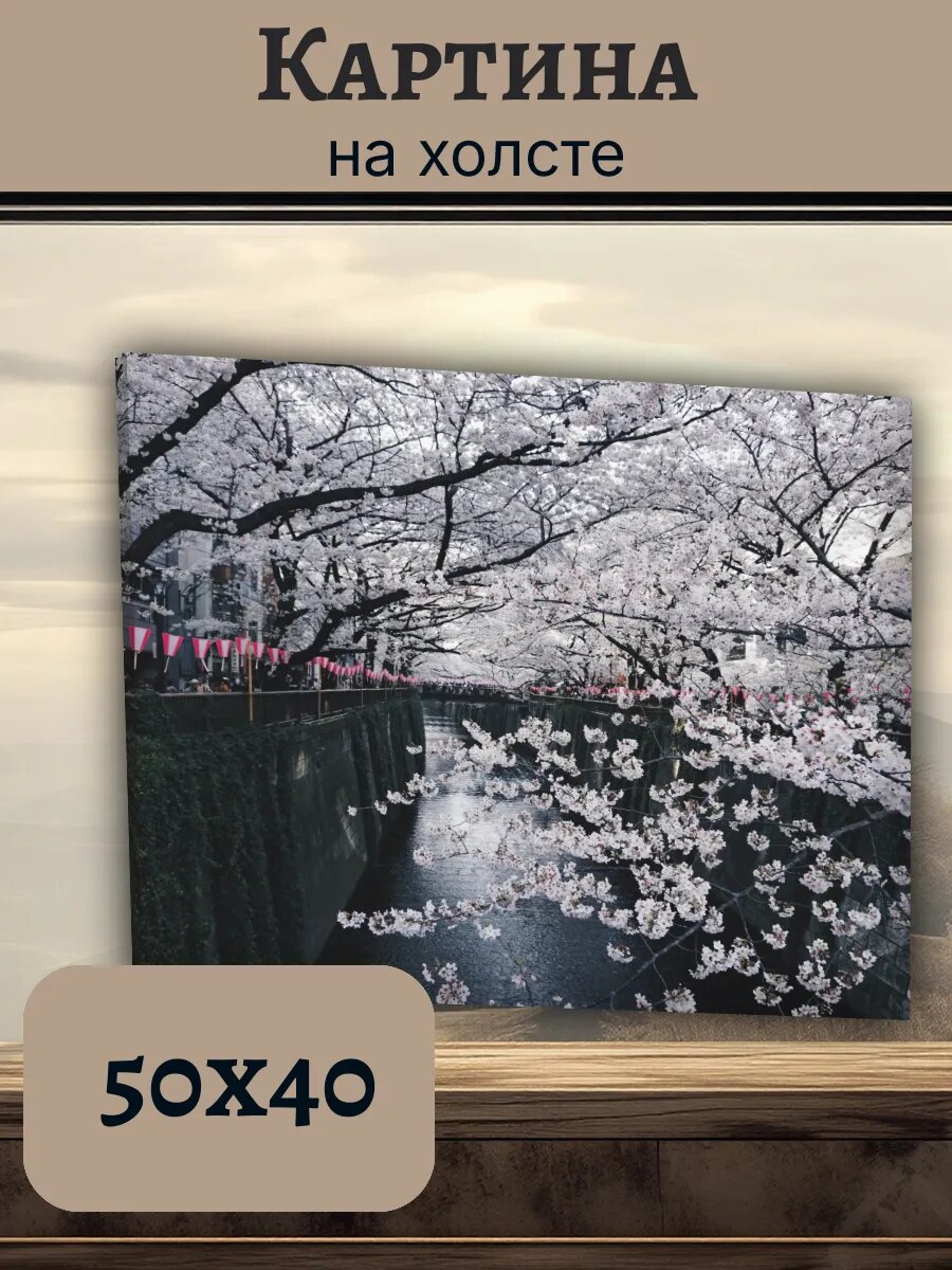 Картина Япония Japan 40x50 цветущая сакура
