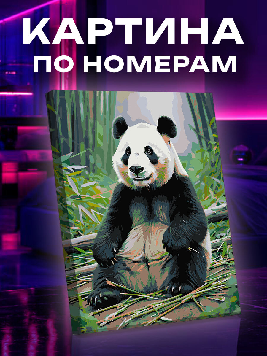 Картина по номерам Панда
