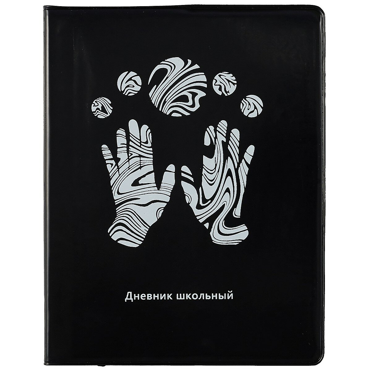 Дневник школьный Listoff, "Silver on black. 1"