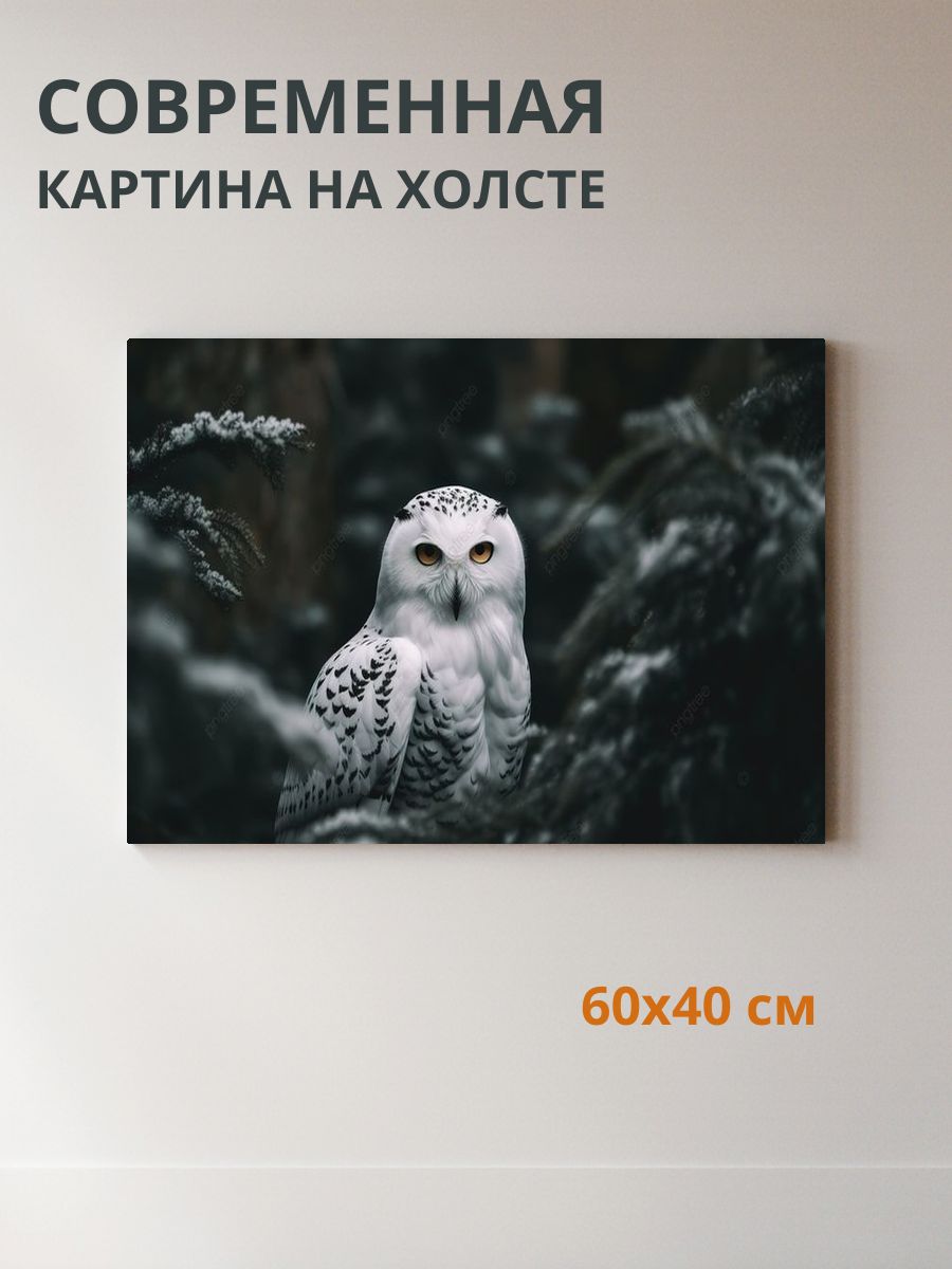 Картина на холсте Сова 60x40 см