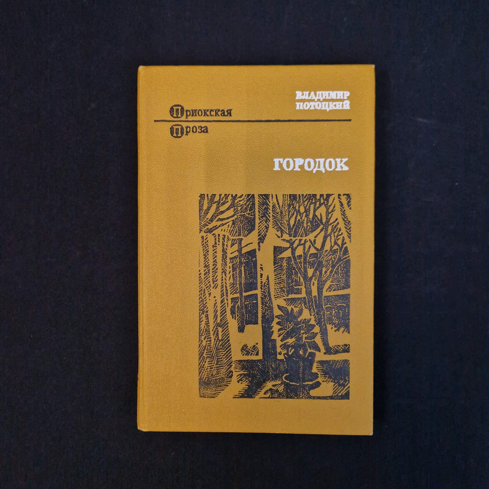 Владимир Потоцкий. Городок. Книга СССР, повести и рассказы