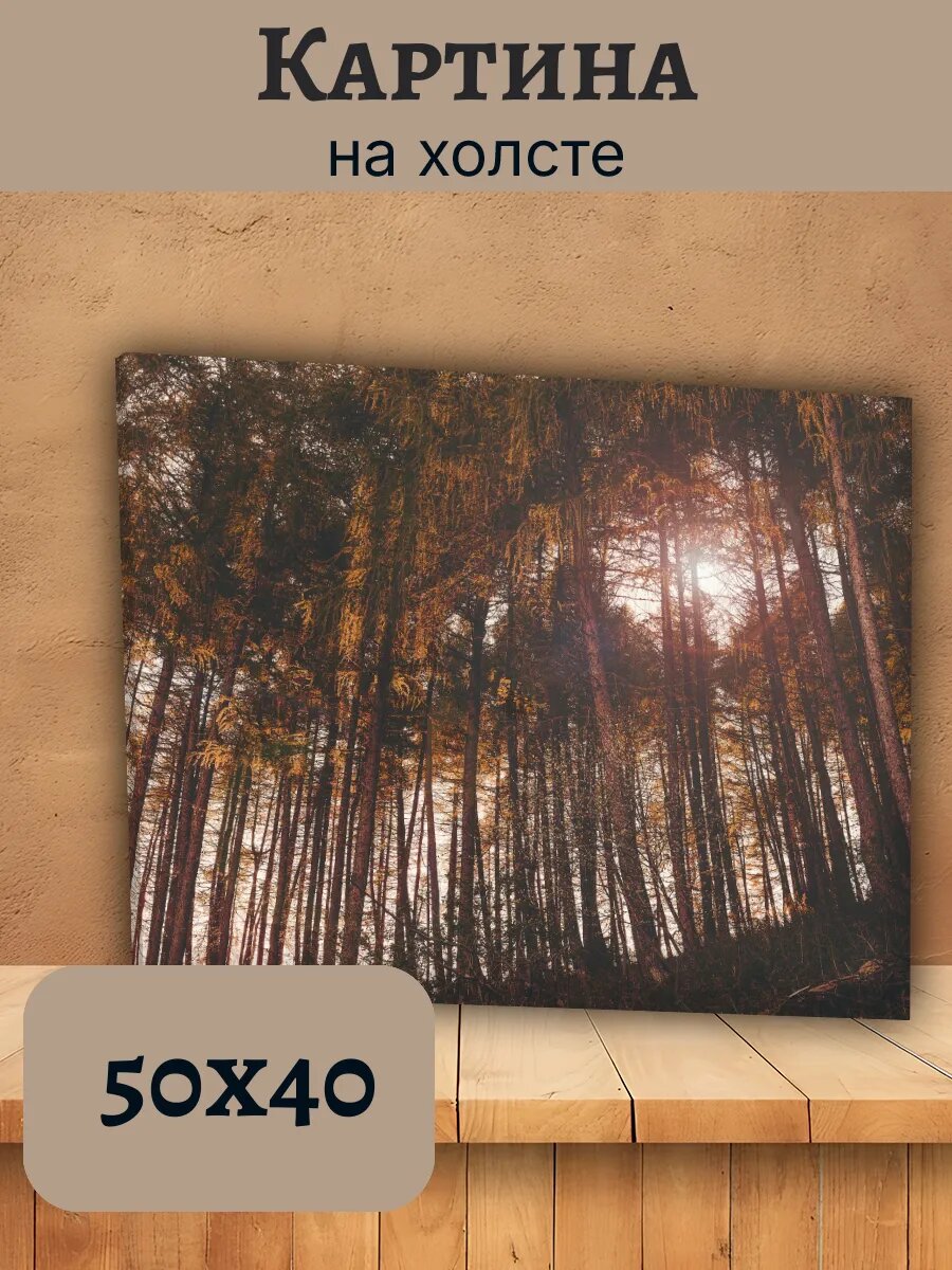 Картина Италия Italy 40x50 осенний лес