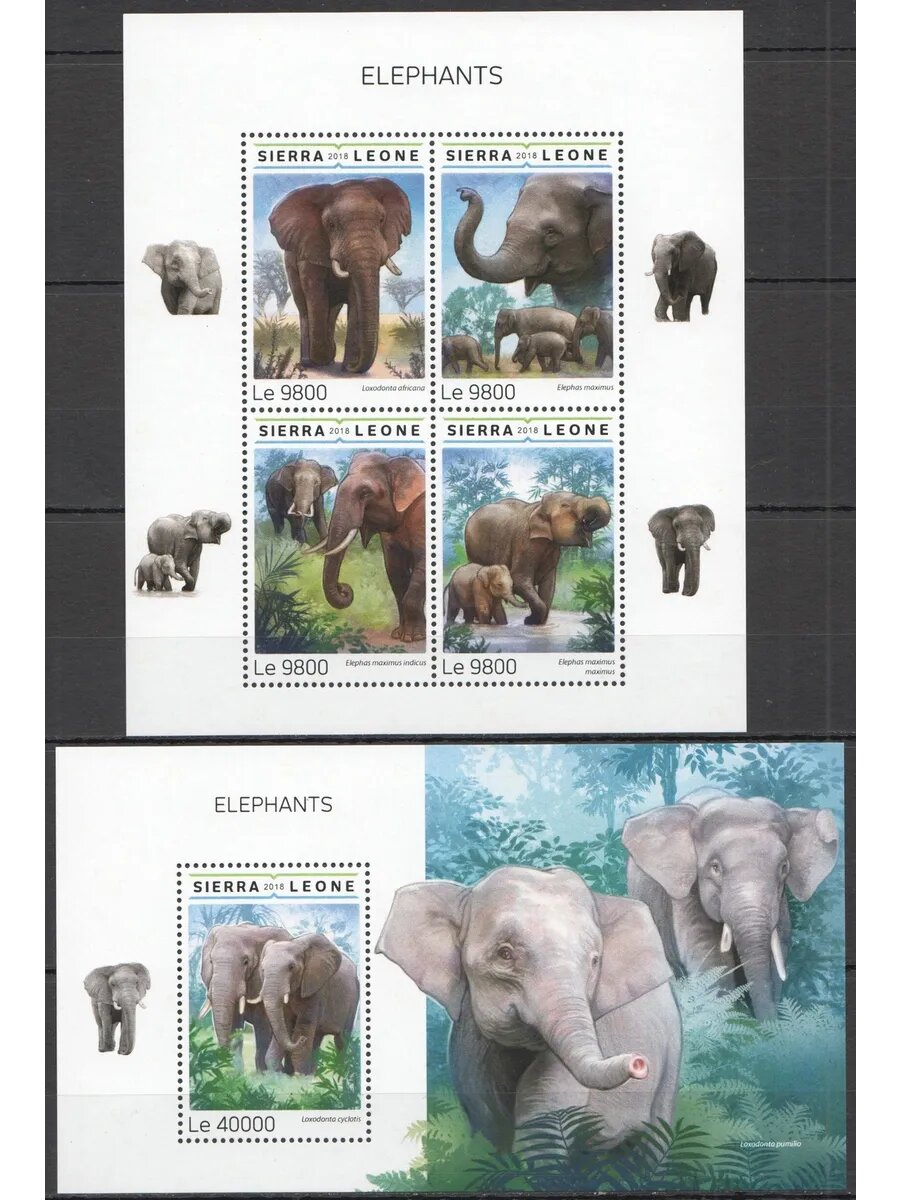 Марки 2018 год Сьерра-Леоне Слоны Дикие животные Фауна #9961-4+Бл1501 MNH