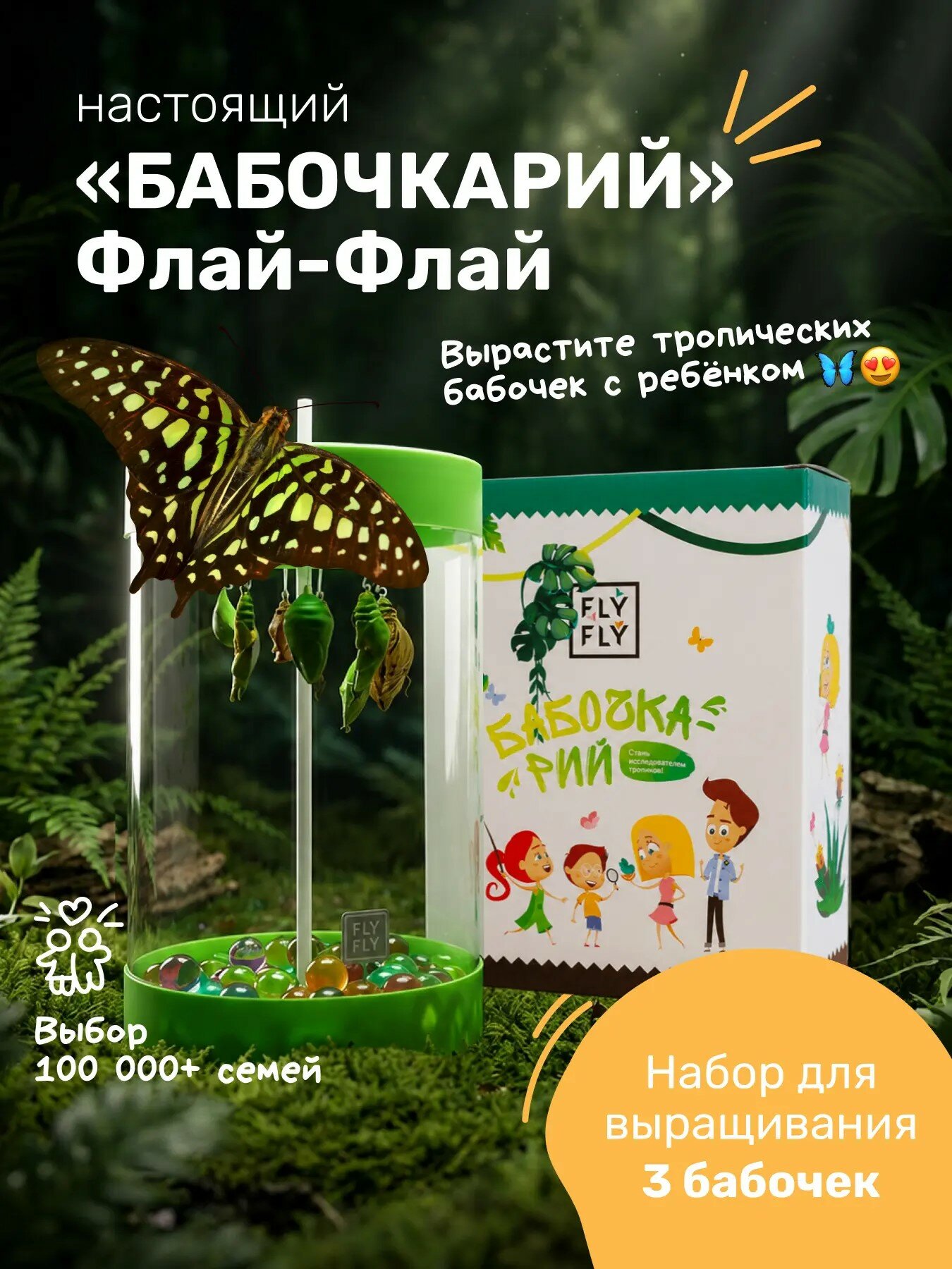 Ферма бабочек "Бабочкарий" на 3 куколки / Детский набор для исследований от Флай-Флай