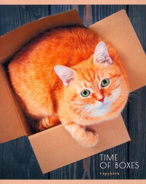 Тетрадь 80 л. клетка А5 "Мой котик" 807801 "Канц-эксмо"