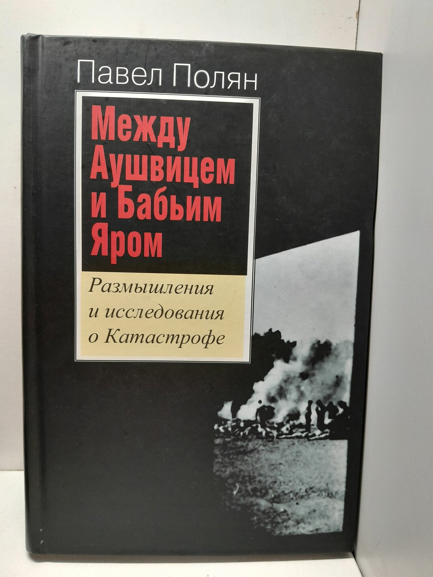 Полян П. М. / Между Аушвицем и Бабьим Яром. Размышления и исследования о Катастрофе
