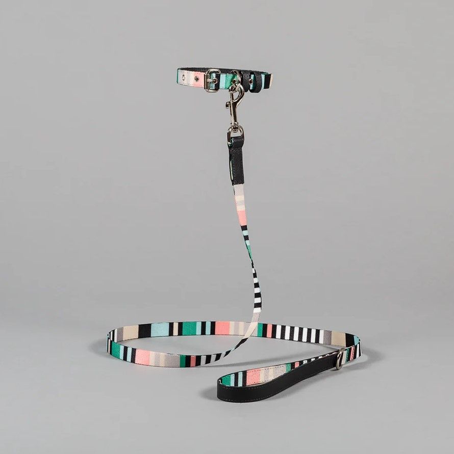 Striped Green/Charcoal Поводок для собак M