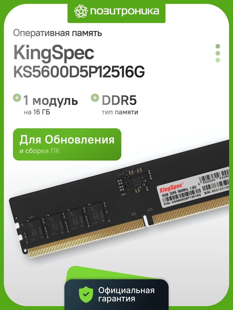 Оперативная память KingSpec KS5600D5P12516G DDR5 16ГБ 5600МГц DIMM CL40 1.35В single rank Ret