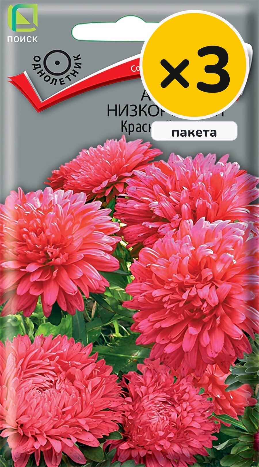 Семена астры Красный ковер низкорослая, 0,2 г, 3 пакета, Поиск, однолетник, высота до 20 см