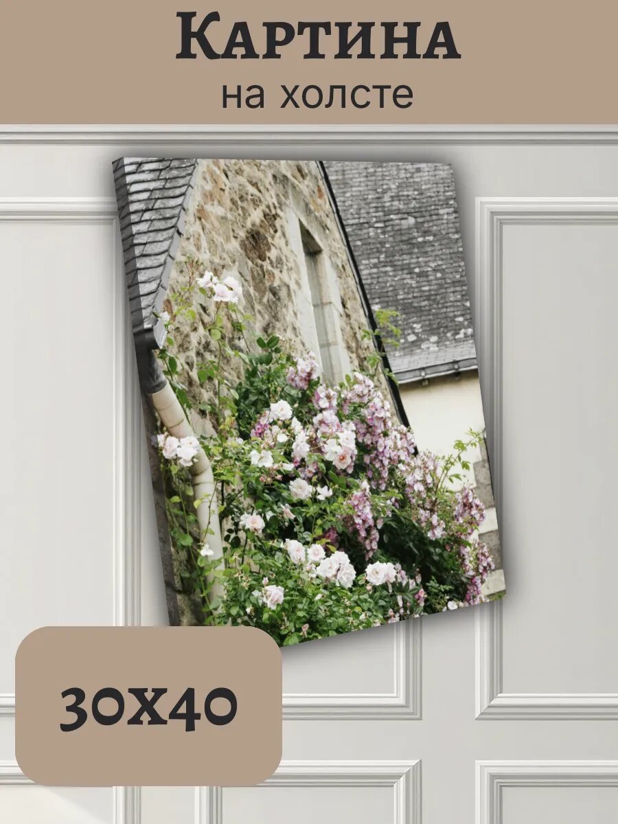 Картина Постер Франция France 30x40 старинный фасад с розами
