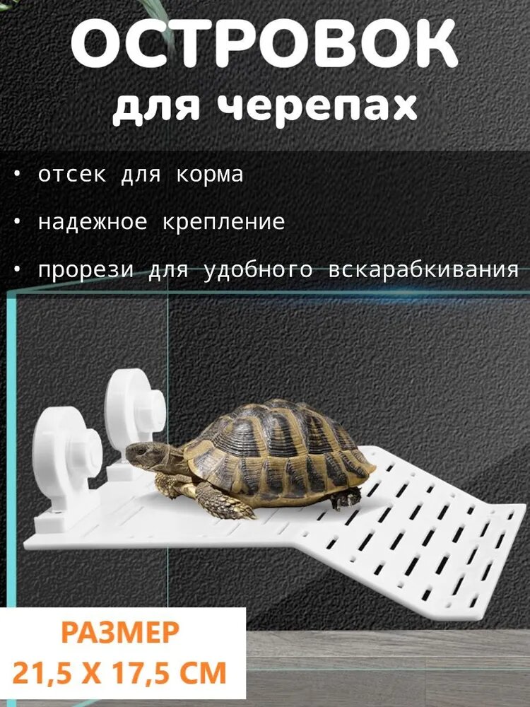 Островок для черепахи в аквариум, мостик на присосках, плот для черепах с отсеком для корма, большой, цвет белый, размер 21,5 х 17,5 см