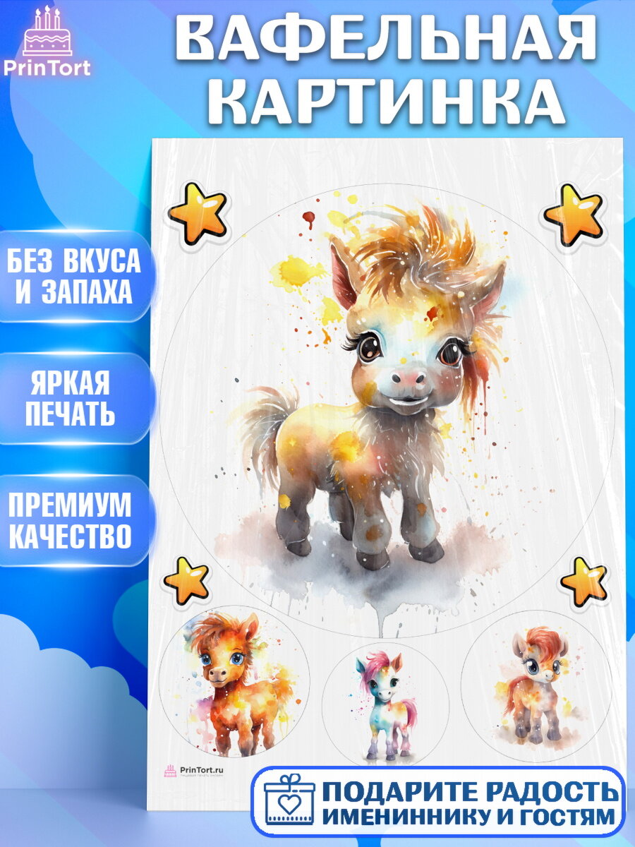 Вафельная картинка для торта Пони. Украшения для торта девочке на День Рождения. Декор для выпечки PrinTortPT117066