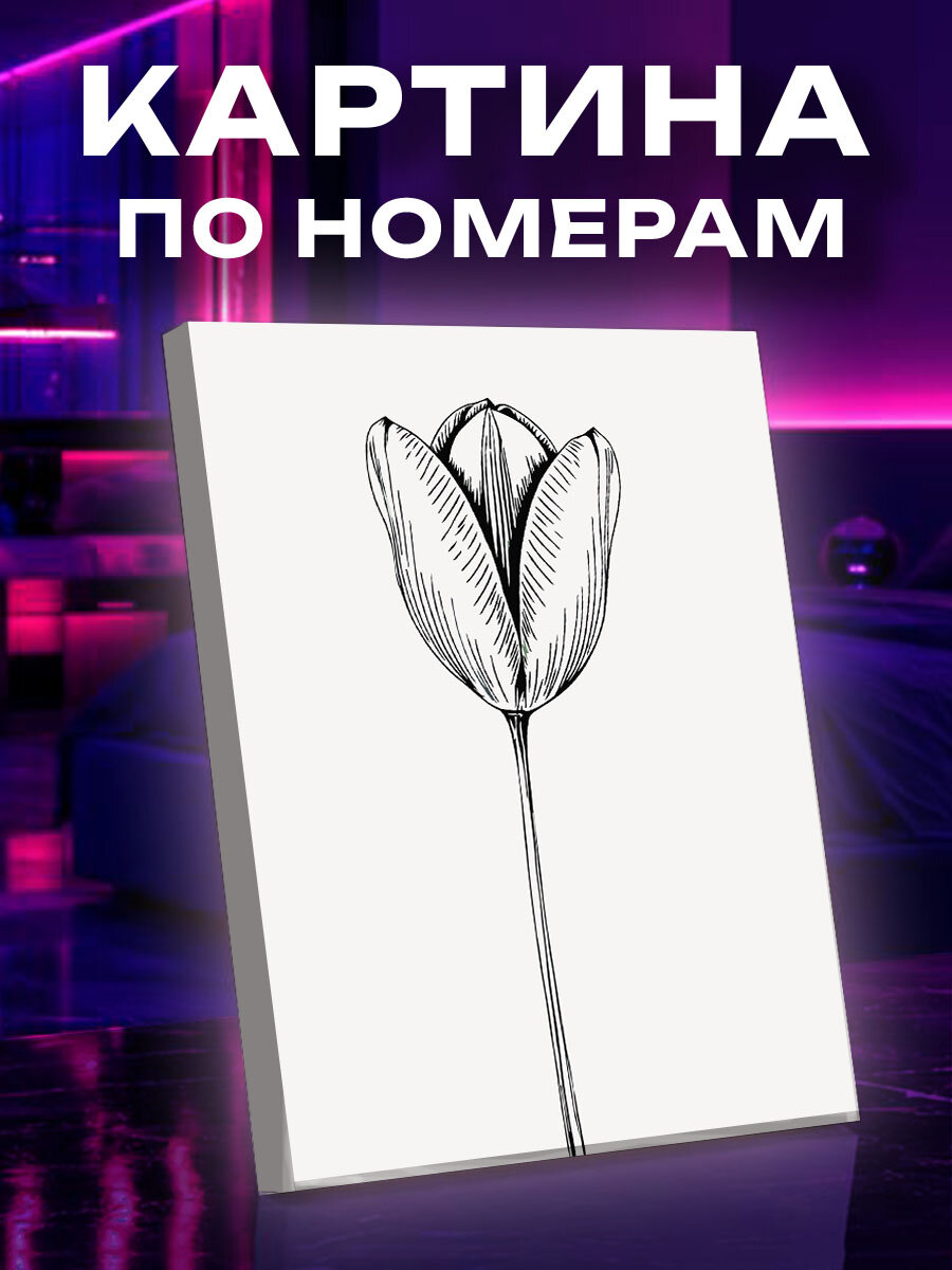 Картина по номерам Тюльпаны