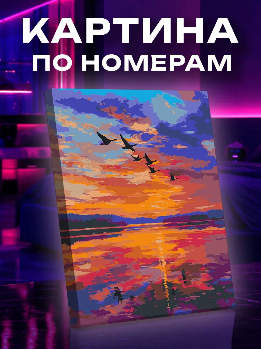 Картина по номерам Гуси