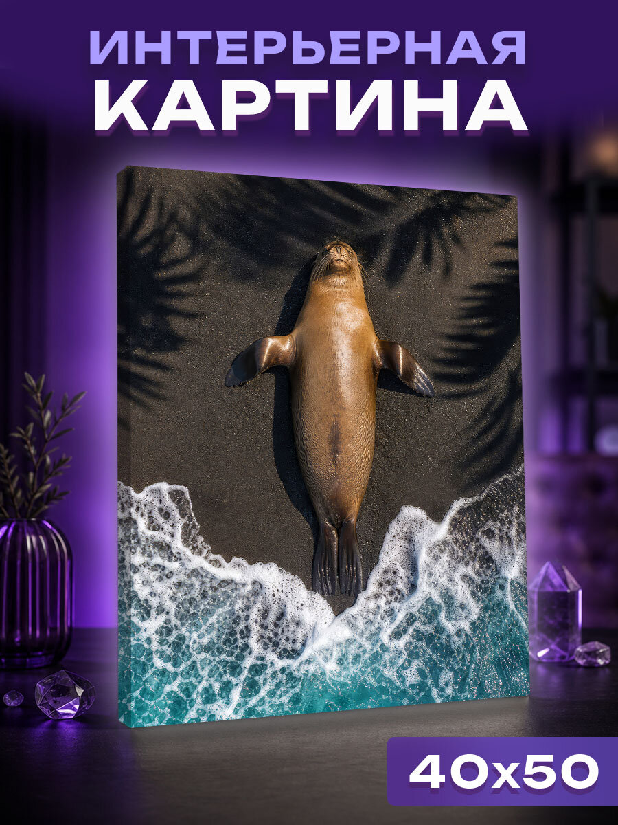 Интерьерная картина Безмятежность Галапагосского побережья