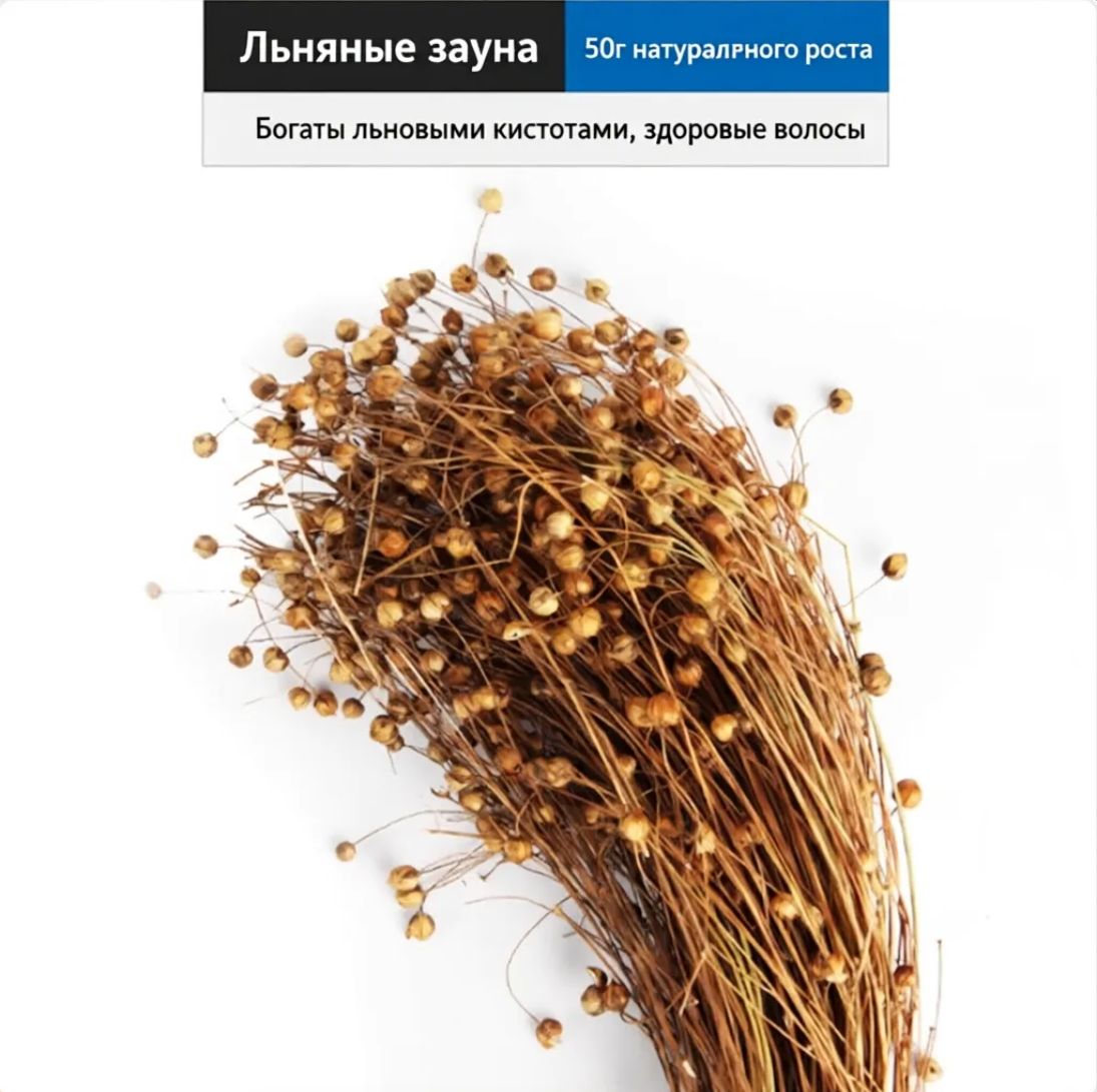 Декоративные колосья и травы для клетки: натуральный декор и игрушка для питомца. Просо, сорго, овес для хомяков и птиц. Экологичное украшение интерьера и полезное лакомство