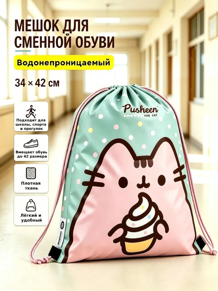 Мешок для обуви. Pusheen