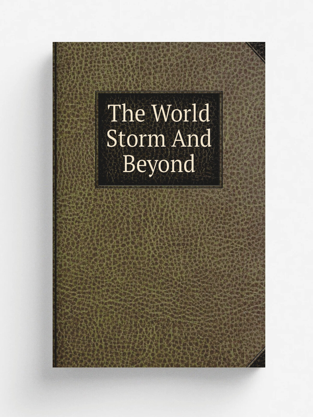 The World Storm And Beyond | Репринт