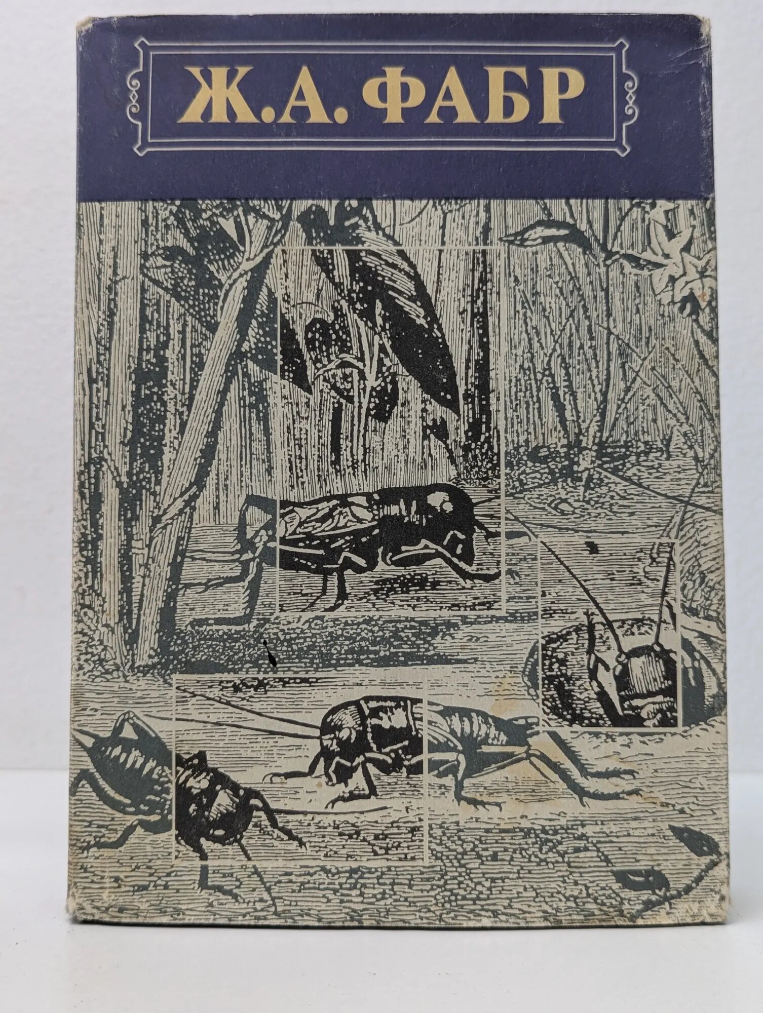 Инстинкт и нравы насекомых. В 2 томах. Том 2 Фабр Жан-Анри 1993