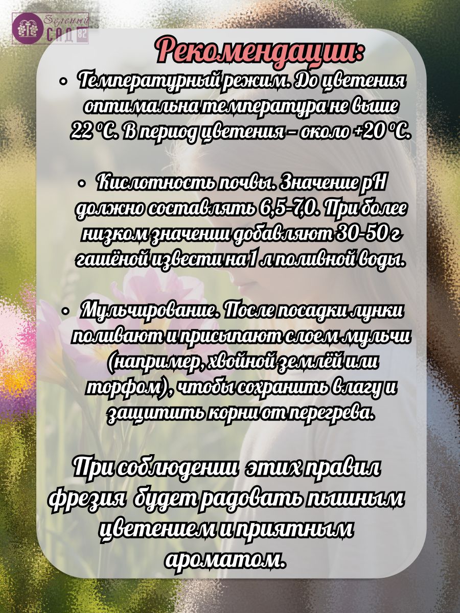 Фрезия Санбимс — фото 1