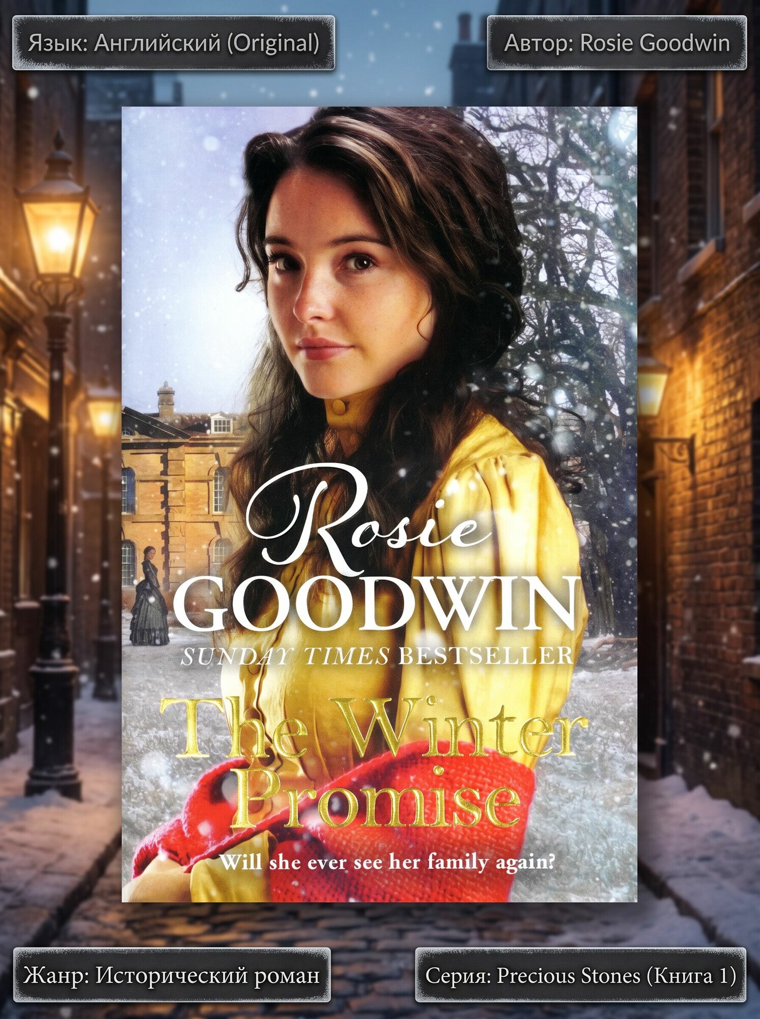 Книга The Winter Promise на английском языке. Викторианский роман, семейная сага