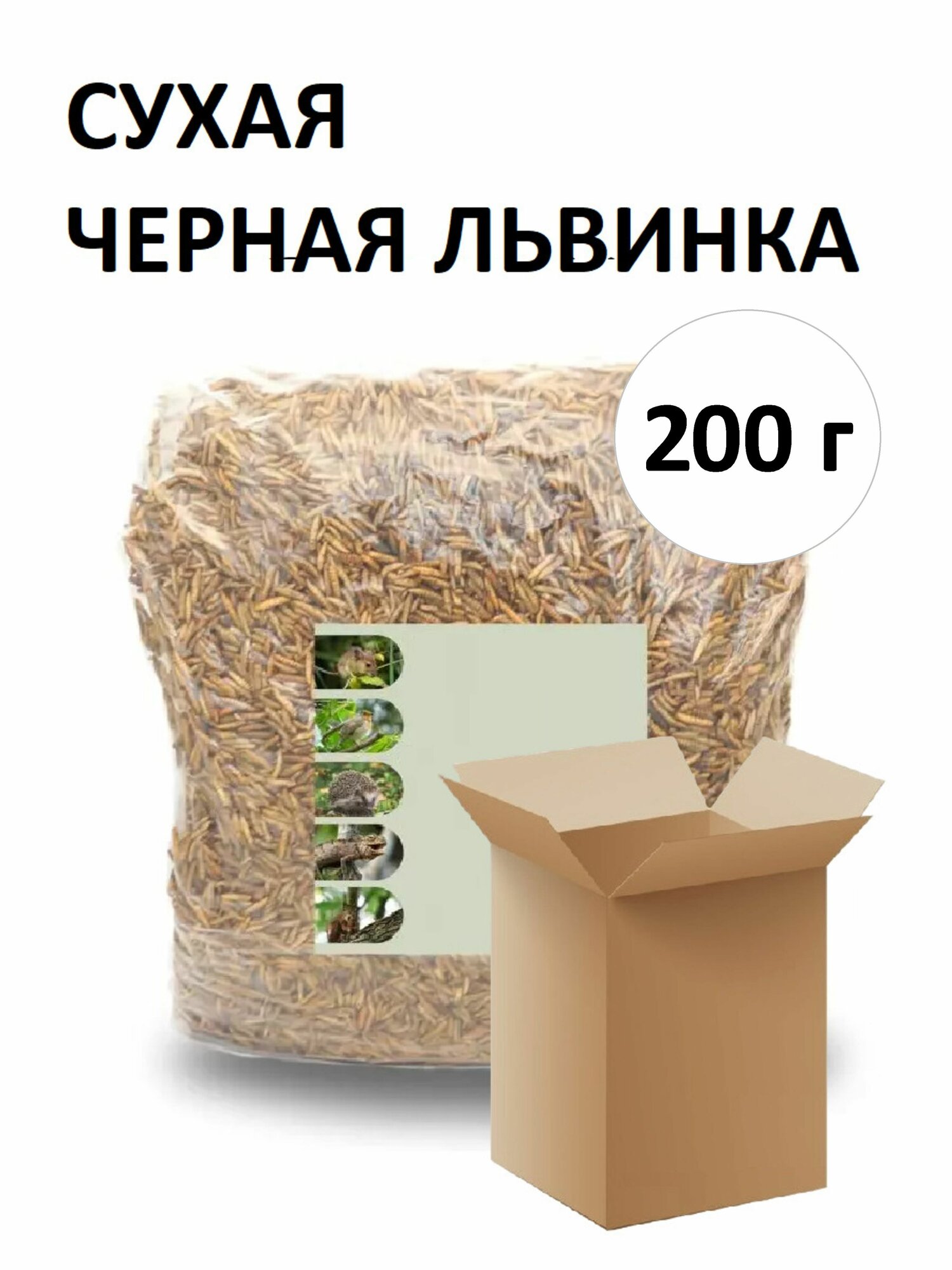 Сухие полезные личинки чёрной львинки
