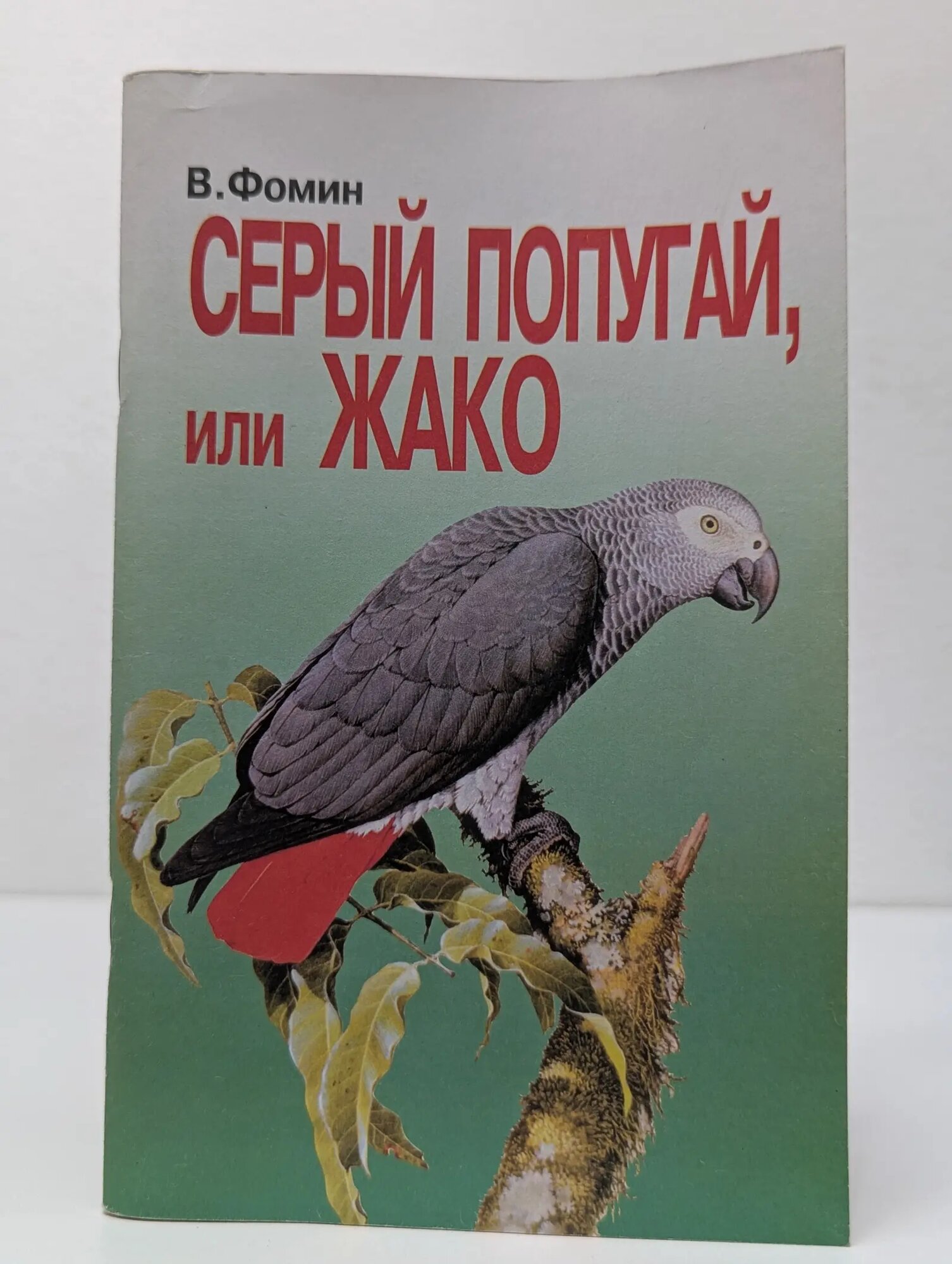 Серый попугай, или жако Фомин Владлен 2000