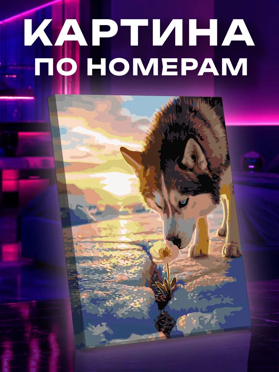 Картина по номерам Хаски нюхает полярный мак на льду