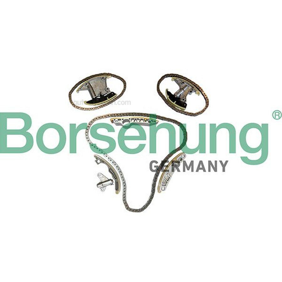 BORSEHUNG B12957 Комплект цепи ГРМ