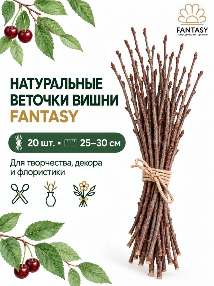 Веточки вишни FANTASY, хворост декоративный натуральный, 25-30 см, материал для творчества, для декора, для поделок