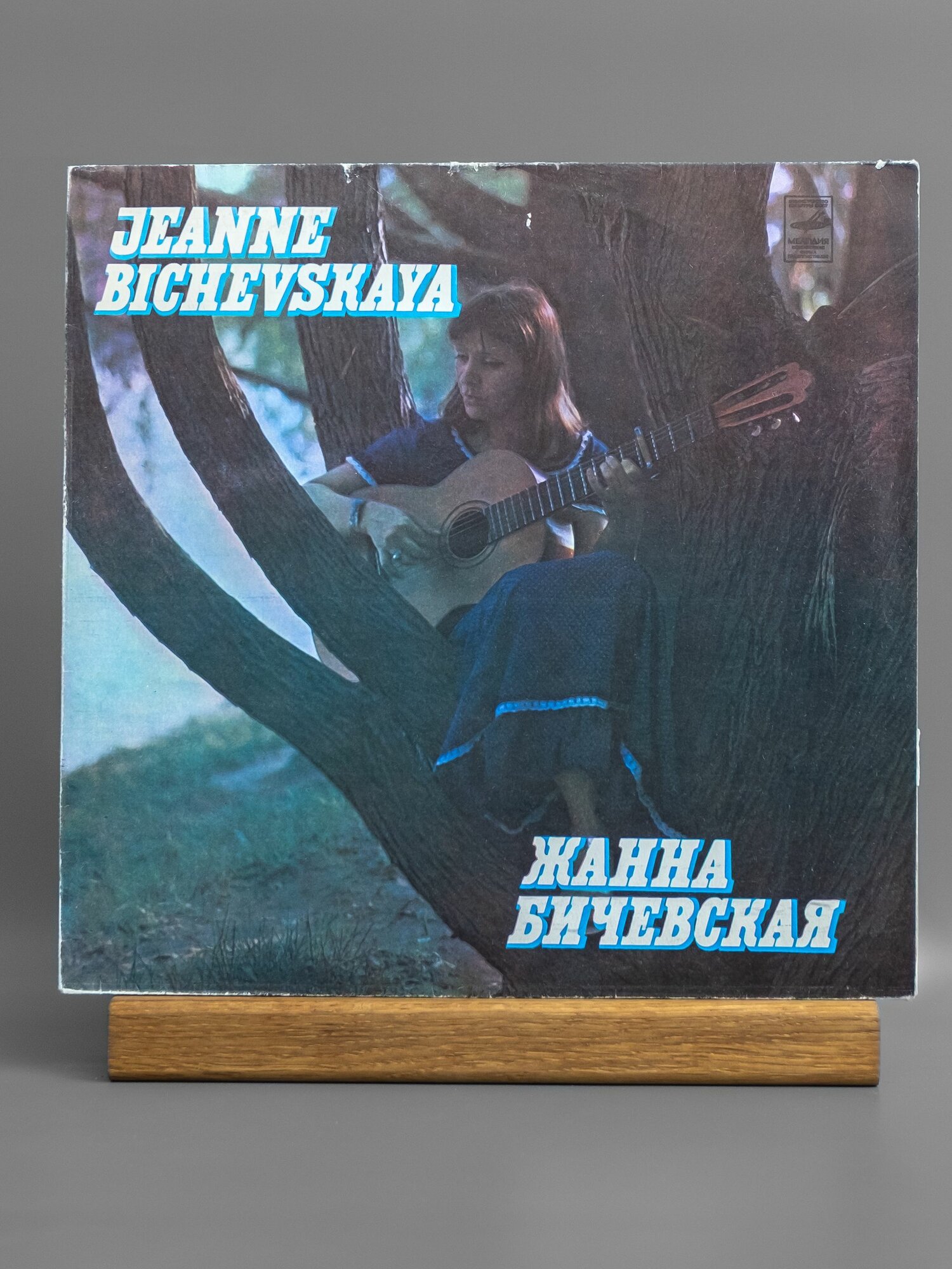Жанна Бичевская - Песнь узника виниловая пластинка LP EX