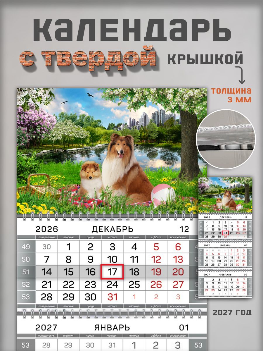 Настенный квартальный календарь "Собаки колли"