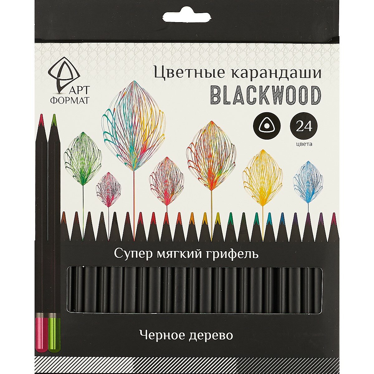 Карандаши цветные «Blackwood», АРТформат, 24 цвета