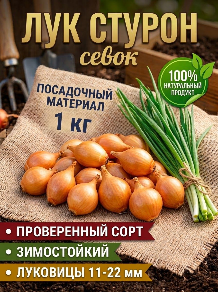 Лук севок для посадки озимый Стурон 1кг