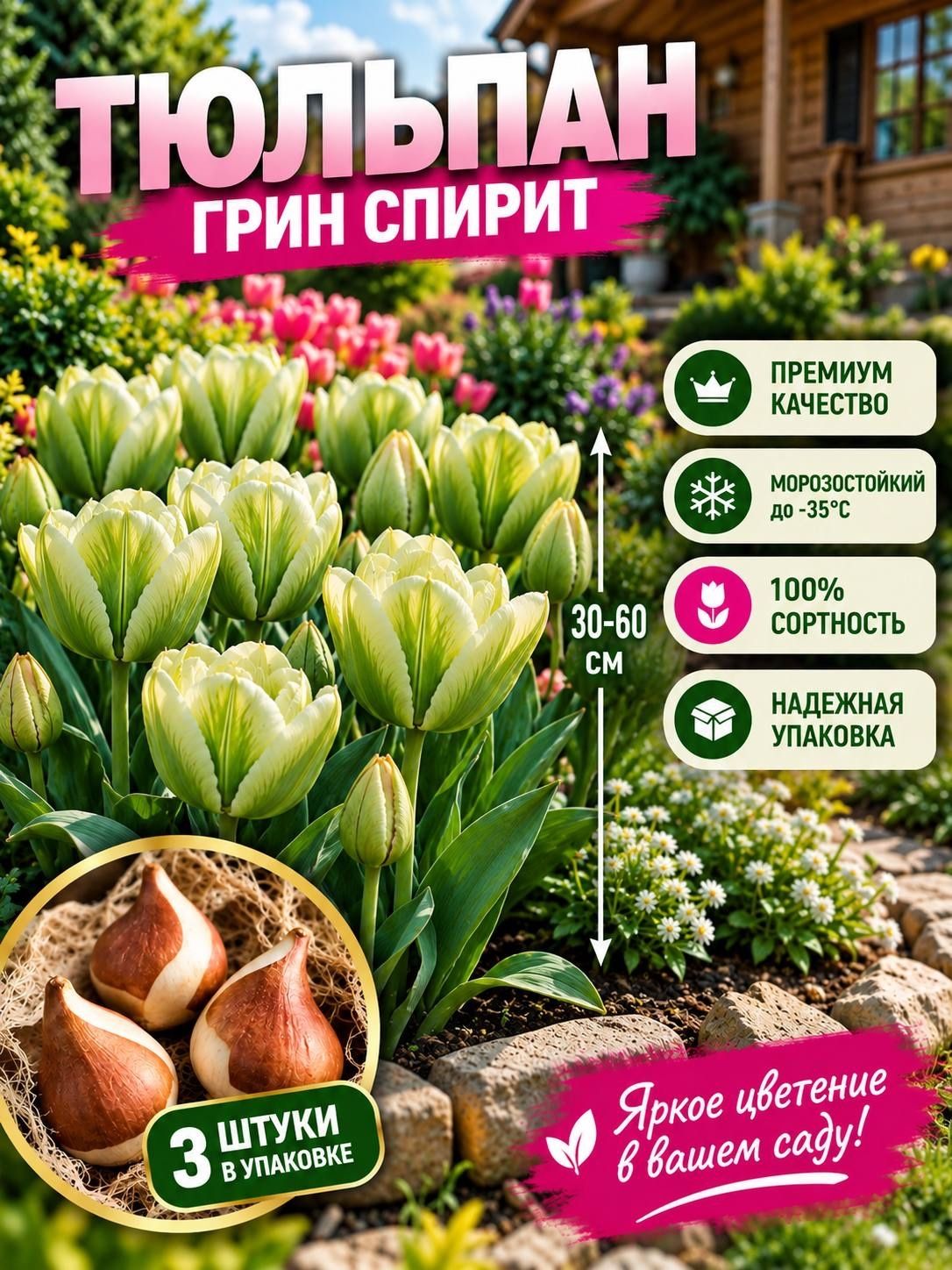Луковицы тюльпана "Грин Спирит" 3шт.