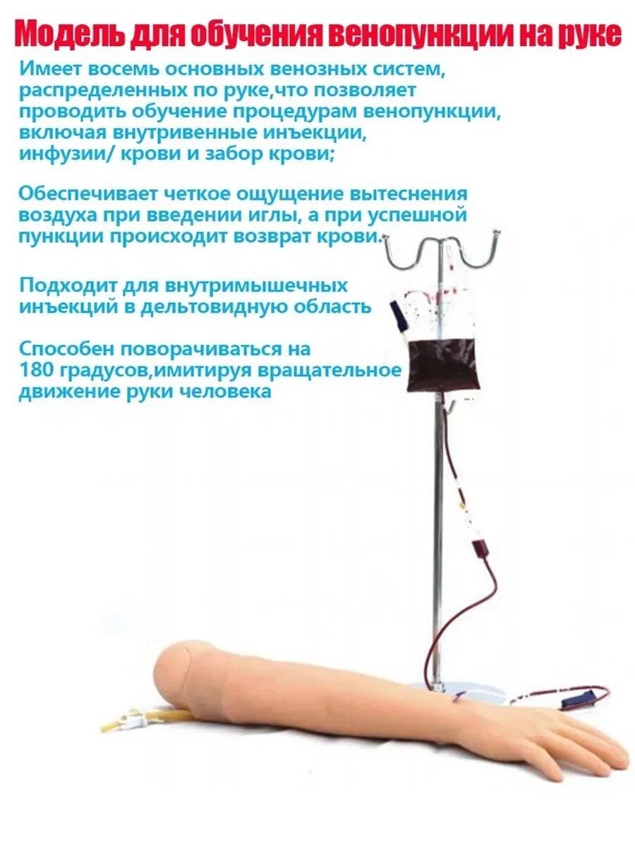 Венепункция Внутривенная инфузия/трансфузия Внутримышечная инъекция Тренировочная модель руки
