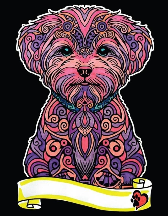 Раскраска Colorvelvet велюровая мальтезе, A4, 29.7x21 см