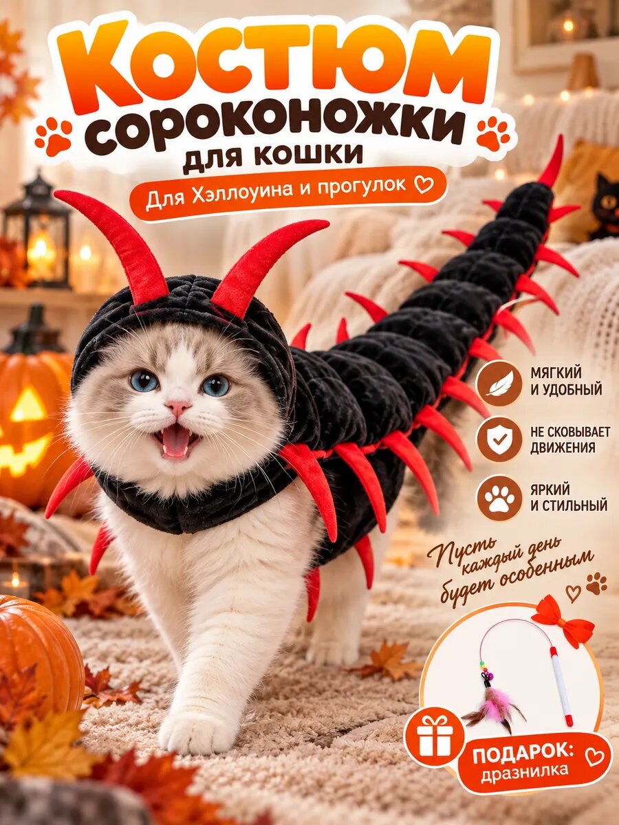 Костюм сороконожки для кошки, декоративная одежда