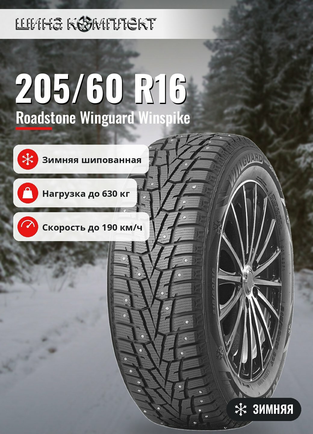 Автомобильная шина Roadstone Winguard Winspike 205/60 R16 92T зимняя шип