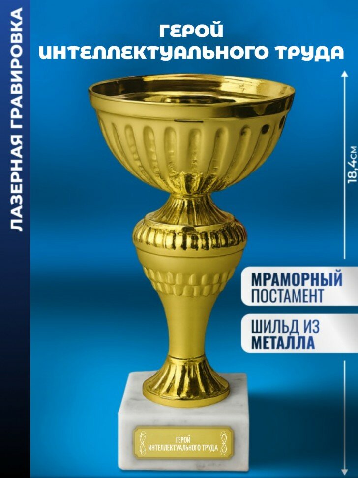 Кубок "Герой интеллектуального труда"