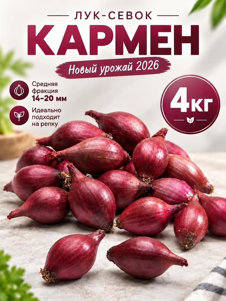 Лук севок Кармен 4кг