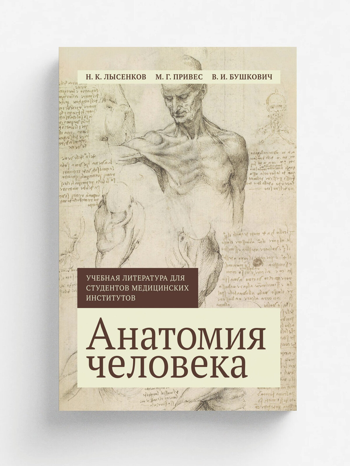 Анатомия человека | Привес Михаил Григорьевич | 1985 | Репринт